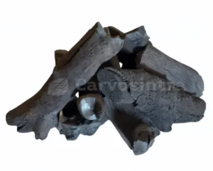 Peças de Carvão Vegetal Azinho na grelha a arder com brasa estável e uniforme.